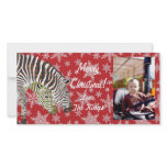 Bohemian Zebra Christmas  Photo Card