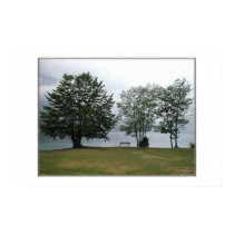 Bohinj lake, a scene with the bench and trees posters