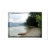 slovenia, bohinj, lake, view, trees, beach, scene,