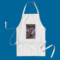 Boids aprons