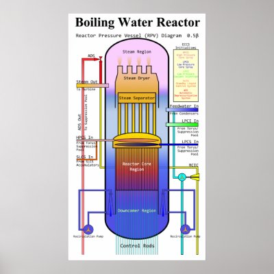 Bwr Reactor Vessel