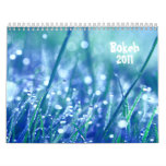 Bokeh 2011 calendar
