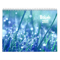 Bokeh 2011 calendar