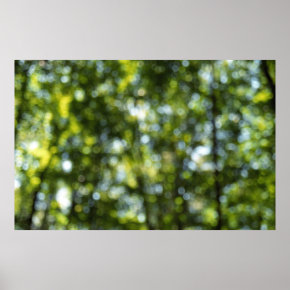 Bokeh in Spring