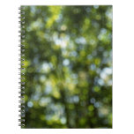 Bokeh in Spring Spiral Notebooks