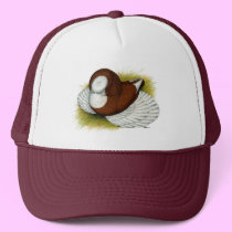 Bokhara Trumpeter:  Red Baldhead hats
