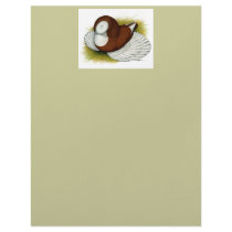 Bokhara Trumpeter:  Red Baldhead letterhead