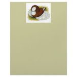 Bokhara Trumpeter:  Red Baldhead Customized Letterhead