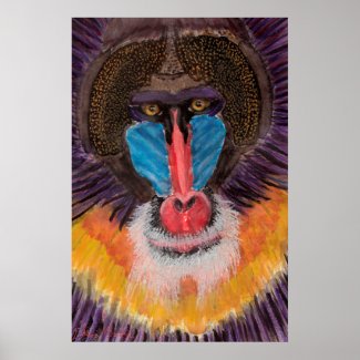 Bold and Intense Baboon Face - Contemporary Style