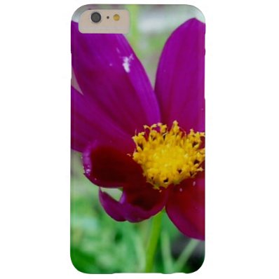Bold Beautiful Wildflower - iPhone 6 Plus Barely There iPhone 6 Plus Case