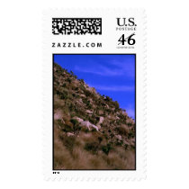 Bold Nature postage