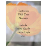 Bold Orange Iceland Poppy flyers