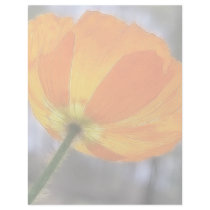 Bold Orange Iceland Poppy Personalized Letterhead