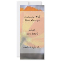 Bold Orange Iceland Poppy Rack Card Design