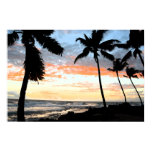 Bold Tropical Palm Tree Coastline posters