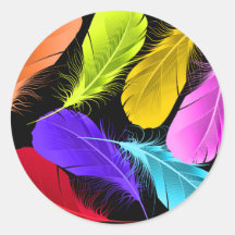 Bold Vivid Wild Colored Feathers On Black Sticker
