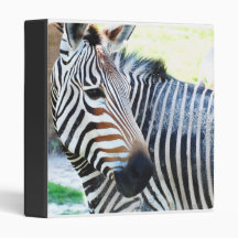 Bold Zebra Binder