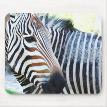 Bold Zebra Mouse Pad