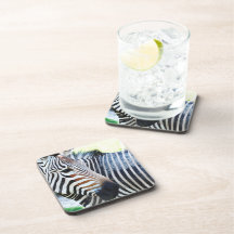 Bold Zebra Set of Coasters