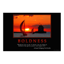 Boldness Poster posters