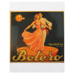 Bolero Flyer Design
