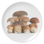 Boletus mushroom party plates