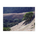 Bolinas Ridge, California postcards by PaulinSF Bolinas Ridge, California postcards