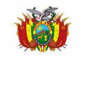 Bolivia Coat of Arms T-shirt