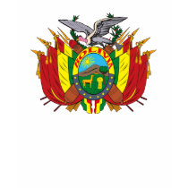 Bolivia Coat of Arms T-shirt