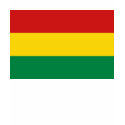 Bolivia Flag and Map T-Shirt