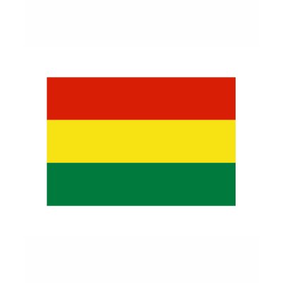 Bolivia FLAG International Shirts by flagshirt
