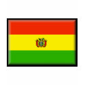 Bolivia Flag t-shirts