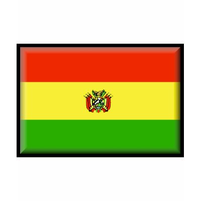 Bolivia Flag Tee Shirts by jacinto888