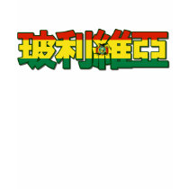 Bolivia - In Chinese T-Shirt