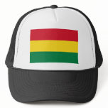 Bolivian Hat