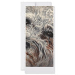 Bolognese Bookmark Rack Card Design