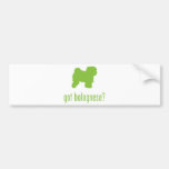 Bolognese Bumper Sticker