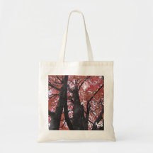 Bolso de la perspectiva de Ali Bolsas
