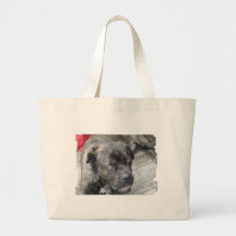 Bolso de reclinación de la lona de Corso del bastó Bolsas De Mano