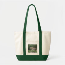 Bolso lindo del león bolsa lienzo