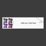 Bolt Squared - Border Collie Art Bumper Stickers