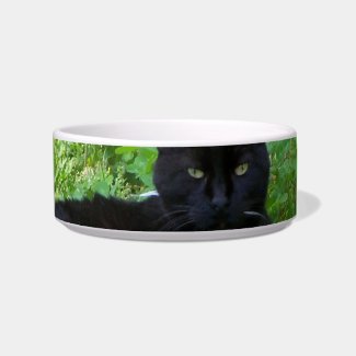 Bombay Cat Bowl petbowl