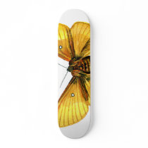 Bombyx quercus female skateboards