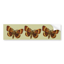 Bombyx quercus male bumper stickers by FlutterByButterfly Bombyx quercus male bumper stickers