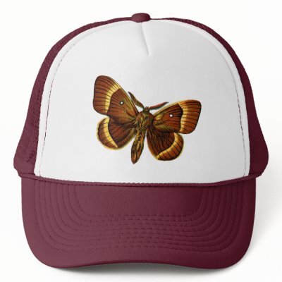 Bombyx quercus male trucker hats by FlutterByButterfly