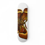 Bombyx quercus male skate board deck