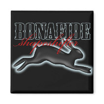 Bonafide Shapeshifter-Rabbit magnets