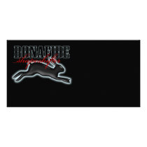 Bonafide Shapeshifter-Rabbit photo cards