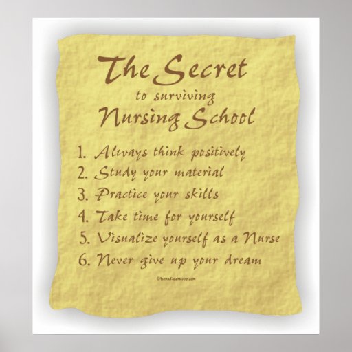 BonafideNurse_-_Secret_to_Surviving_Nursing_School Print