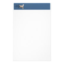 Bonaparte's Gull Stationery Design
